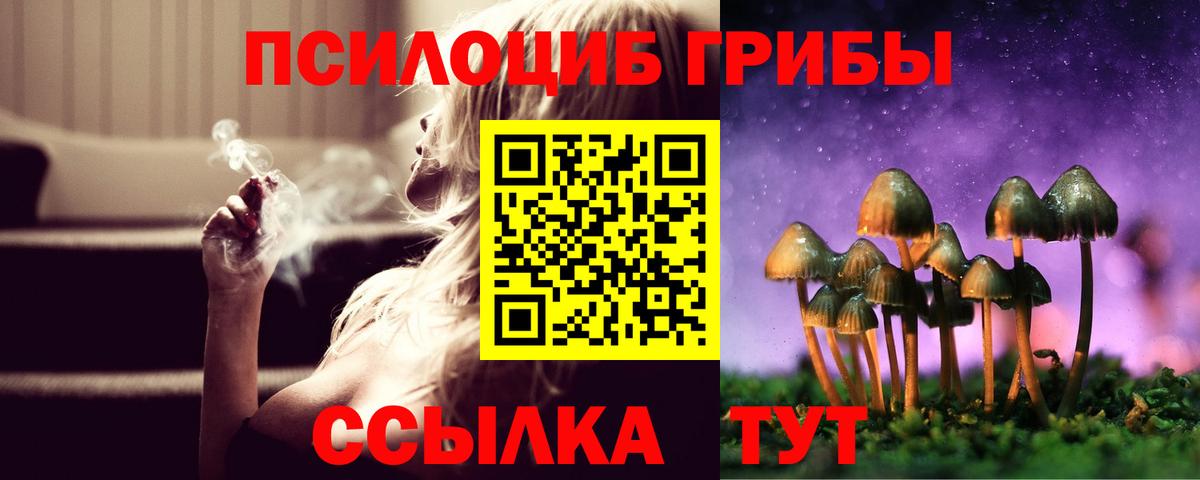 Галлюциногенные грибы GOLDEN TEACHER  Галлюциногенные грибы GOLDEN TEACHER  Печора  Вход с VPN 